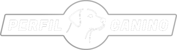 Perfil Canino