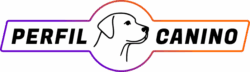 Perfil Canino