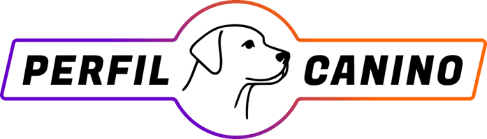 Perfil Canino