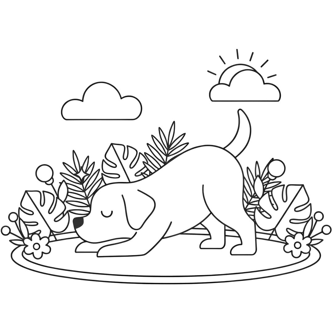 Perfil Canino - Ilustração do livro de colorir do Labrador Retriever