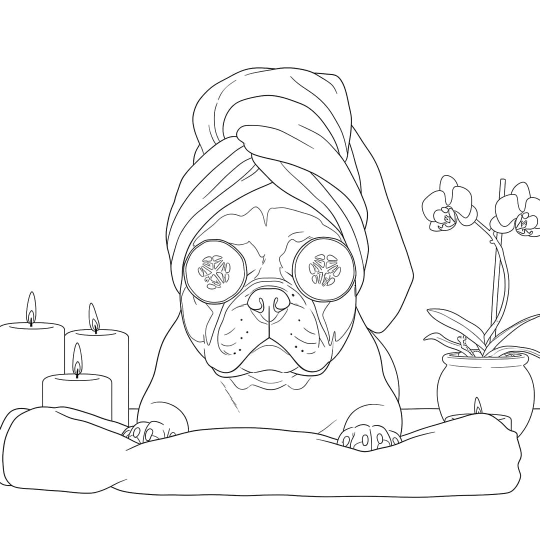 Perfil Canino - Ilustração do livro de colorir do Buldogue Francês